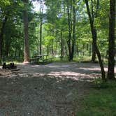 Review photo of Stone Mountain State Park Campground by Kirsten J., August 1, 2020