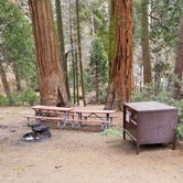 Review photo of Kings Canyon National Park Azalea Campground by Jacob D., April 9, 2018