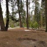 Review photo of Kings Canyon National Park Azalea Campground by Jacob D., April 9, 2018