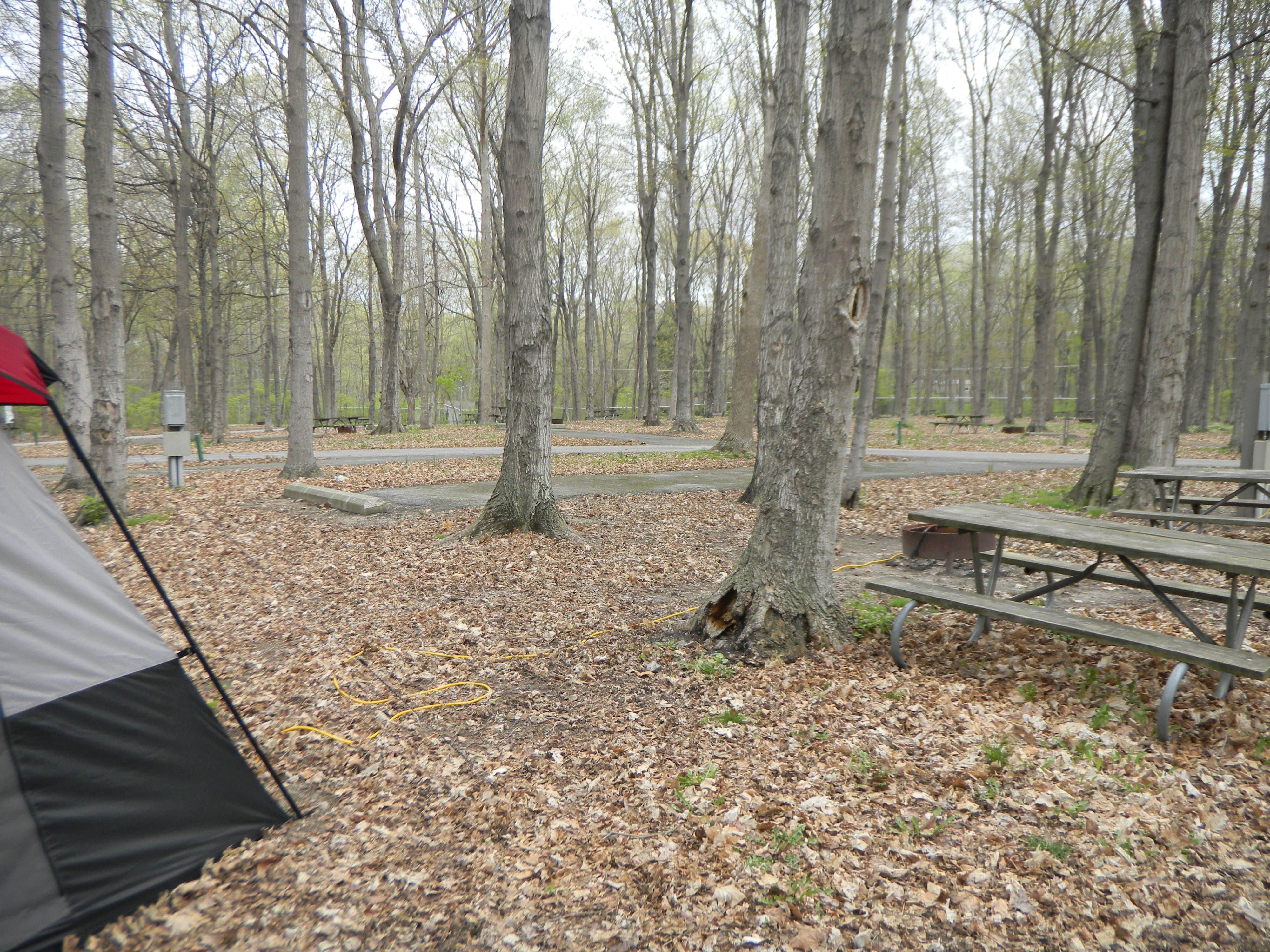 Daniel U.'s photo at South Bass Island State Park Campground near Monroe, MI