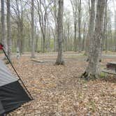 Review photo of South Bass Island State Park Campground by Daniel & Heather U., November 26, 2019