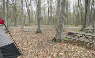 Daniel U.'s photo at South Bass Island State Park Campground near Monroe, MI