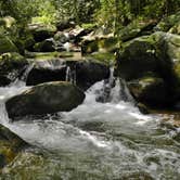 Review photo of Jones Gap State Park Campground by Myron C., August 1, 2020