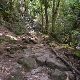 Review photo of Jones Gap State Park Campground by Myron C., August 1, 2020