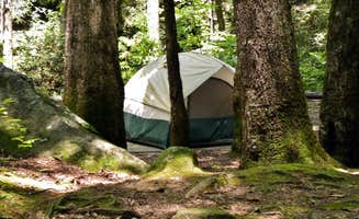 Myron C.'s photo of tent camping at Jones Gap State Park Campground near Pauline, SC