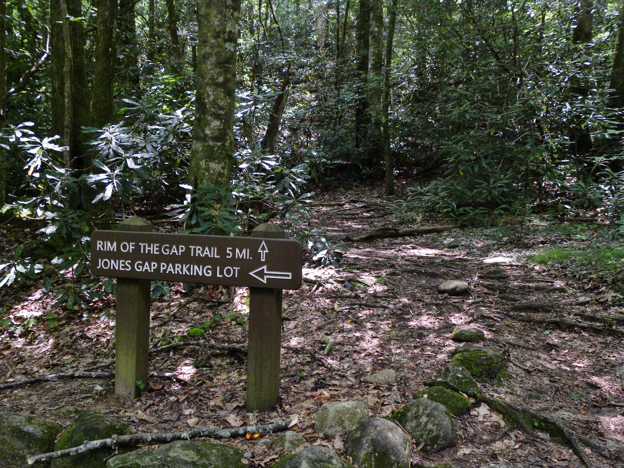The Rim of the Gap Trail is not too far from the campsite.