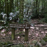 Review photo of Jones Gap State Park Campground by Myron C., August 1, 2020