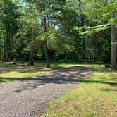 Review photo of Lucius Woods County Park by Scott M., July 13, 2020