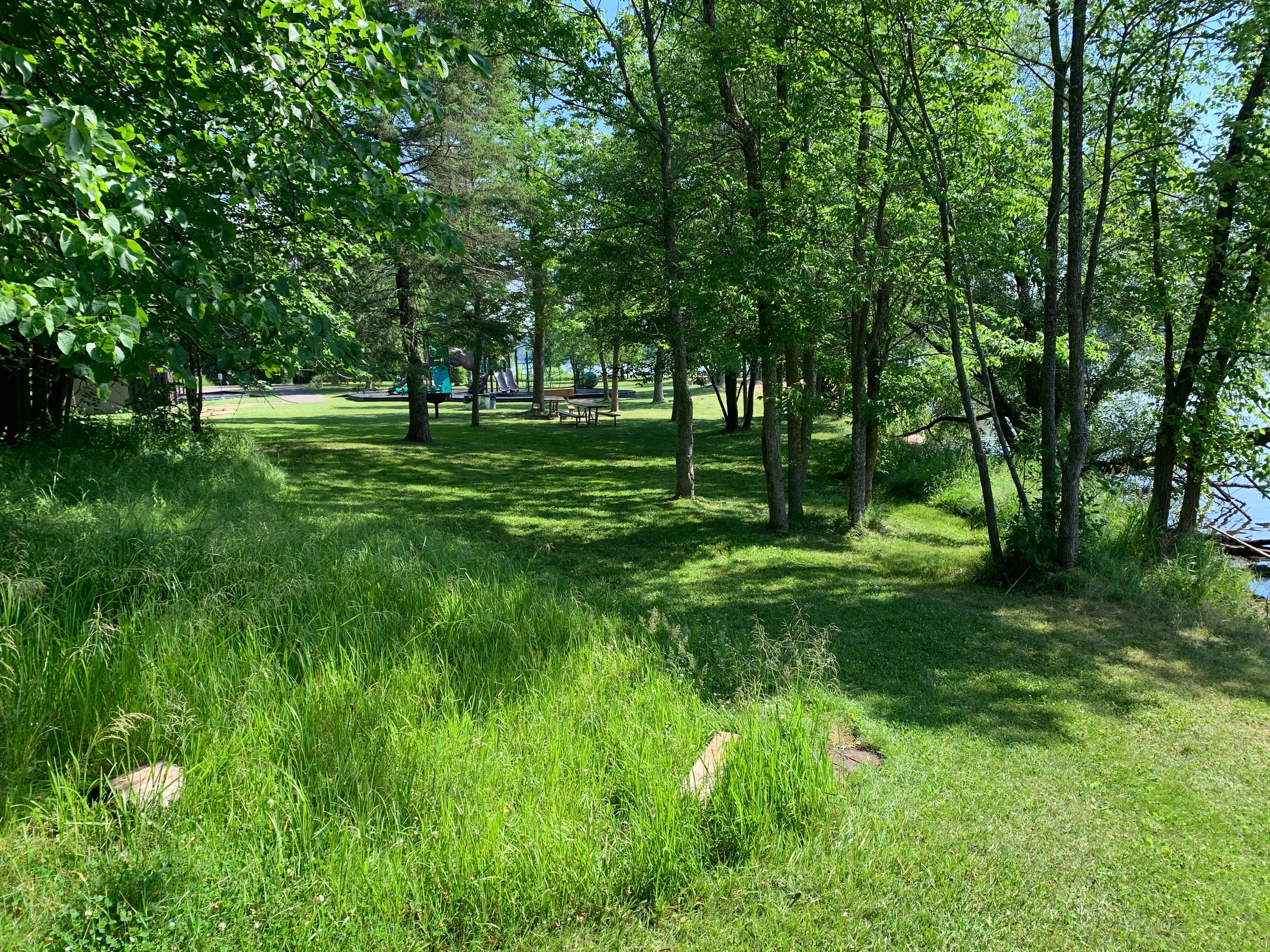 Camper-submitted photo at Lucius Woods County Park near Gordon, WI