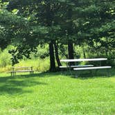 Review photo of Sandy Creek Family Campground by Kirsten J., August 1, 2020