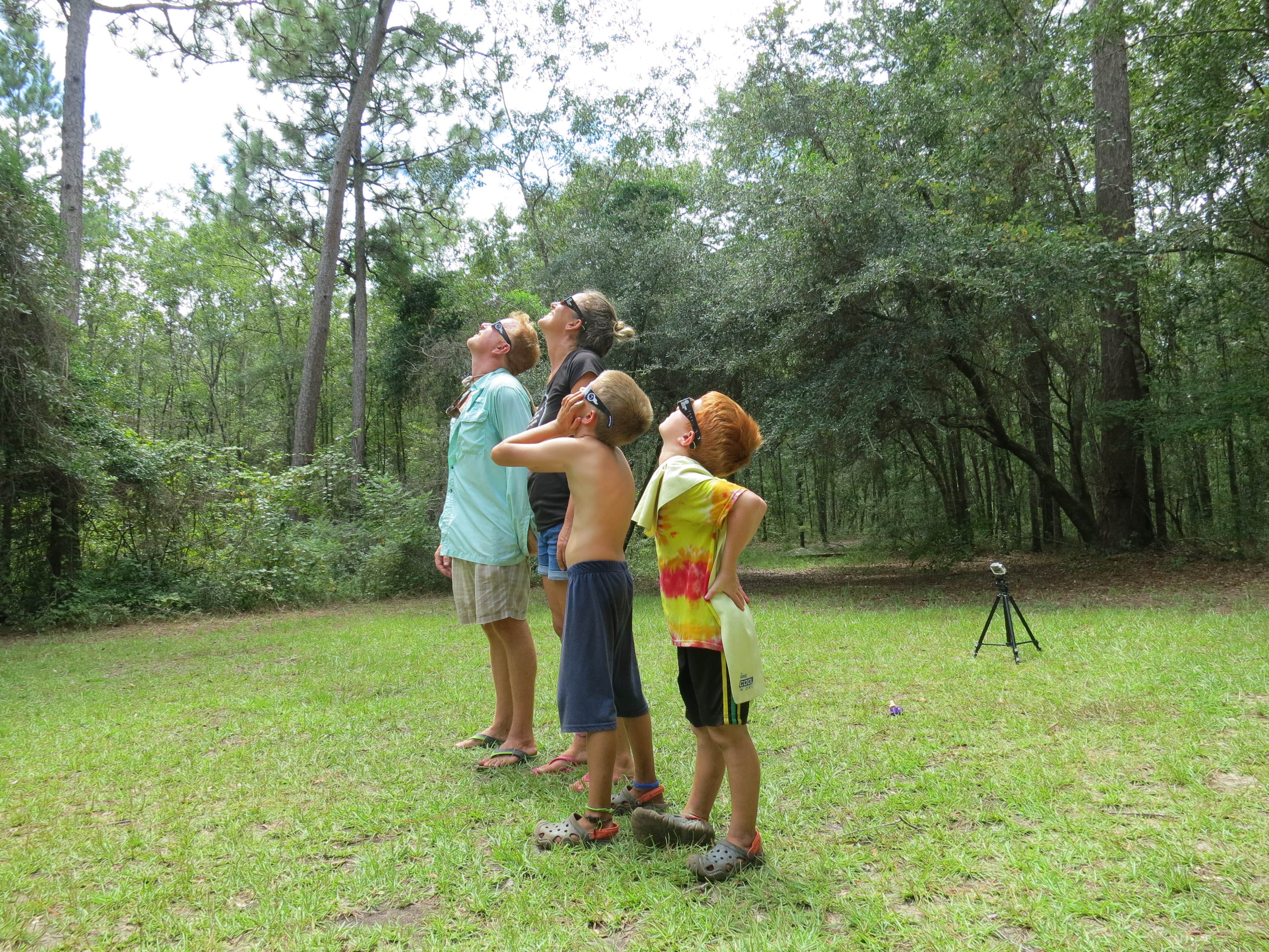 Camper-submitted photo at Francis Marion National Forest near Huger, SC