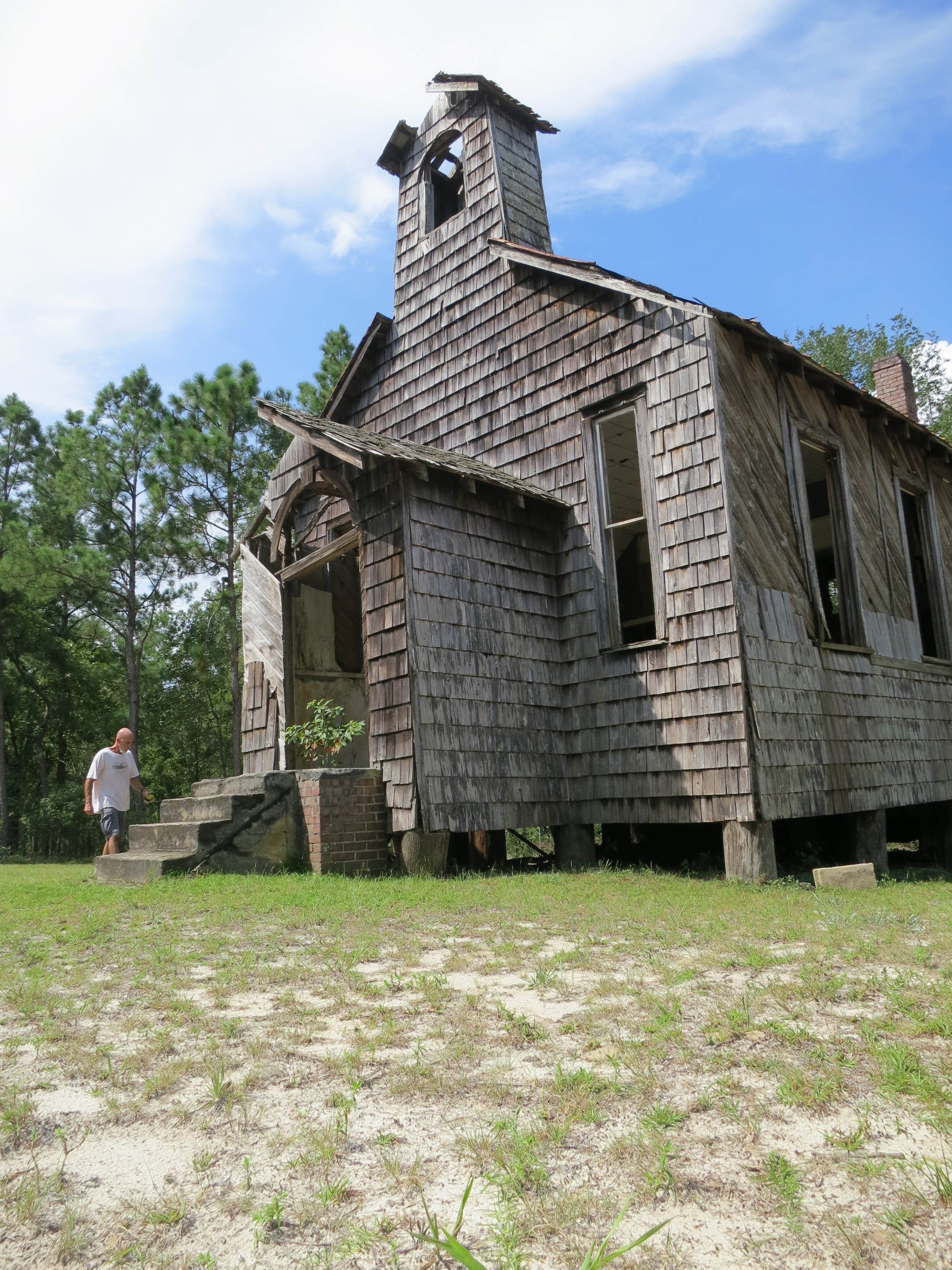 Camper submitted image from Francis Marion National Forest - 1