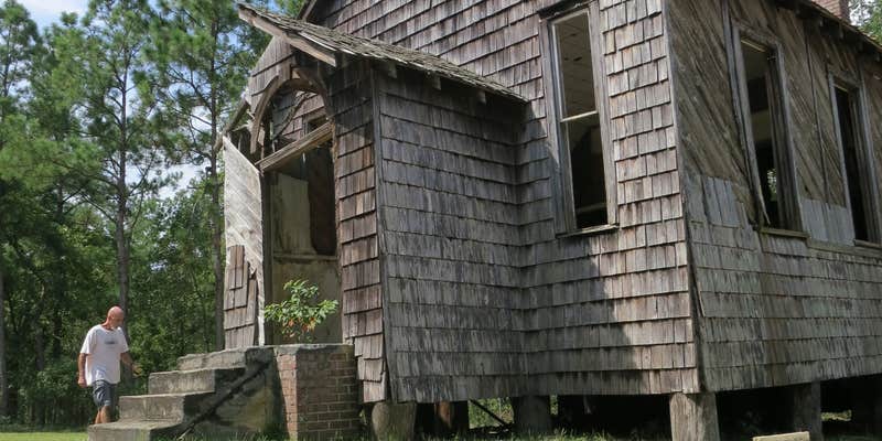 Camper submitted image from Francis Marion National Forest