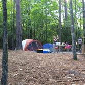 Review photo of Devils Fork State Park Campground by Courtney B., August 1, 2020