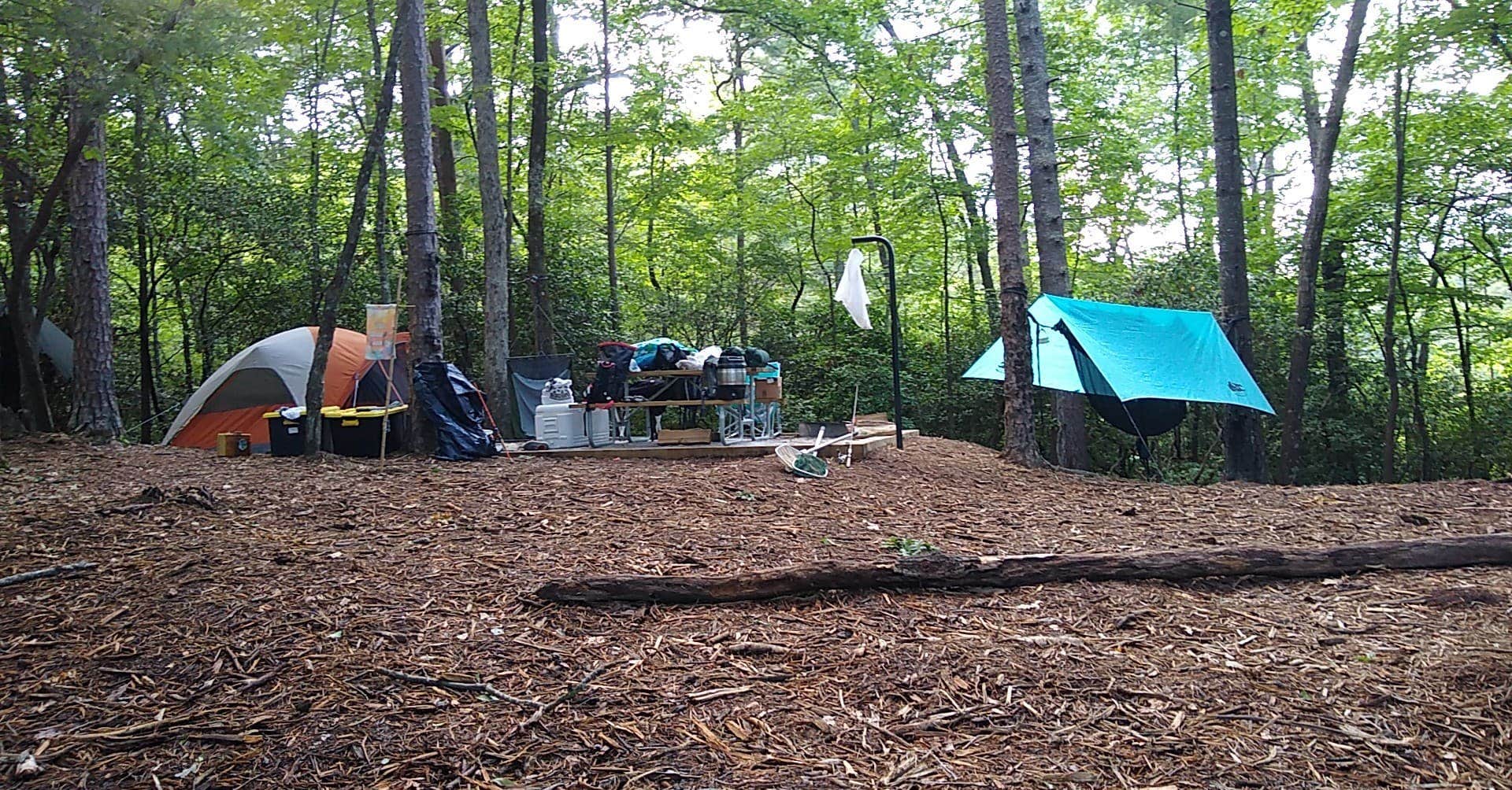 Courtney B.'s photo at Devils Fork State Park Campground near Pickens, SC