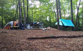 Courtney B.'s photo at Devils Fork State Park Campground near Pickens, SC