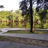 Review photo of Givhans Ferry State Park Campground by Courtney B., August 1, 2020