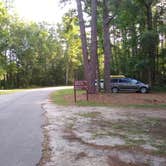 Review photo of Givhans Ferry State Park Campground by Courtney B., August 1, 2020