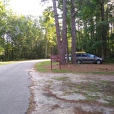 Review photo of Givhans Ferry State Park Campground by Courtney B., August 1, 2020