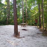 Review photo of Givhans Ferry State Park Campground by Courtney B., August 1, 2020