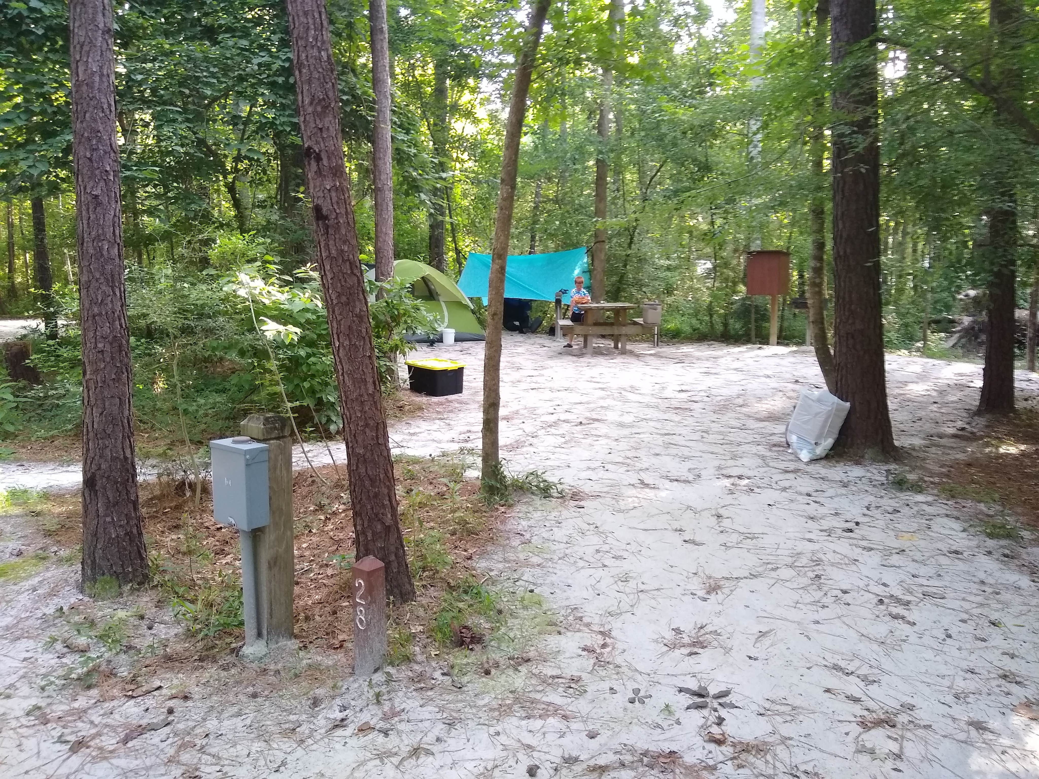 Courtney B.'s photo at Givhans Ferry State Park Campground near Summerville, SC