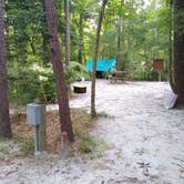 Review photo of Givhans Ferry State Park Campground by Courtney B., August 1, 2020