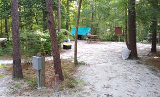 Courtney B.'s photo at Givhans Ferry State Park Campground near Cross, SC