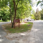 Review photo of Givhans Ferry State Park Campground by Courtney B., August 1, 2020