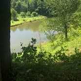 Review photo of Manistee River Trail Dispersed Camping by Shelly B., August 1, 2020