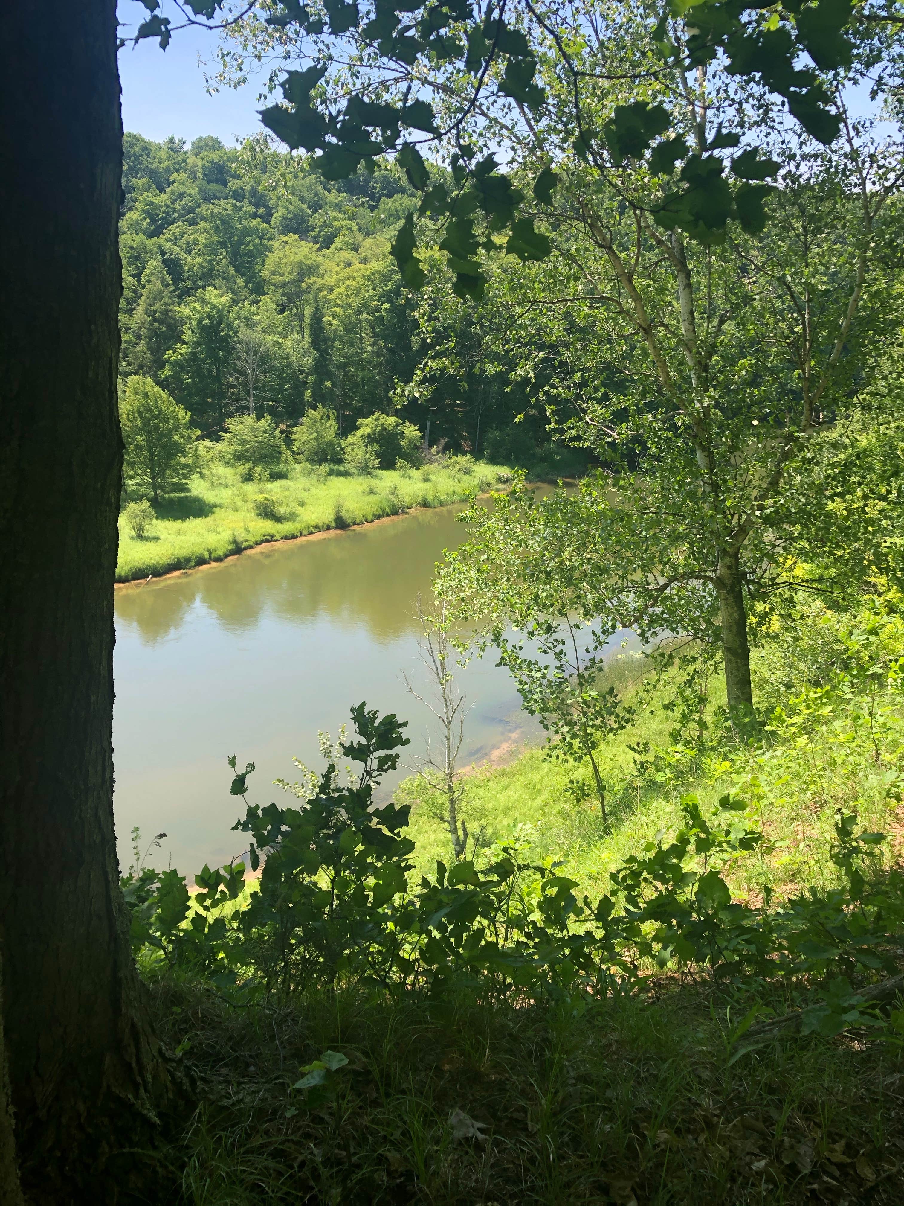 Camper submitted image from Manistee River Trail Dispersed Camping - 3