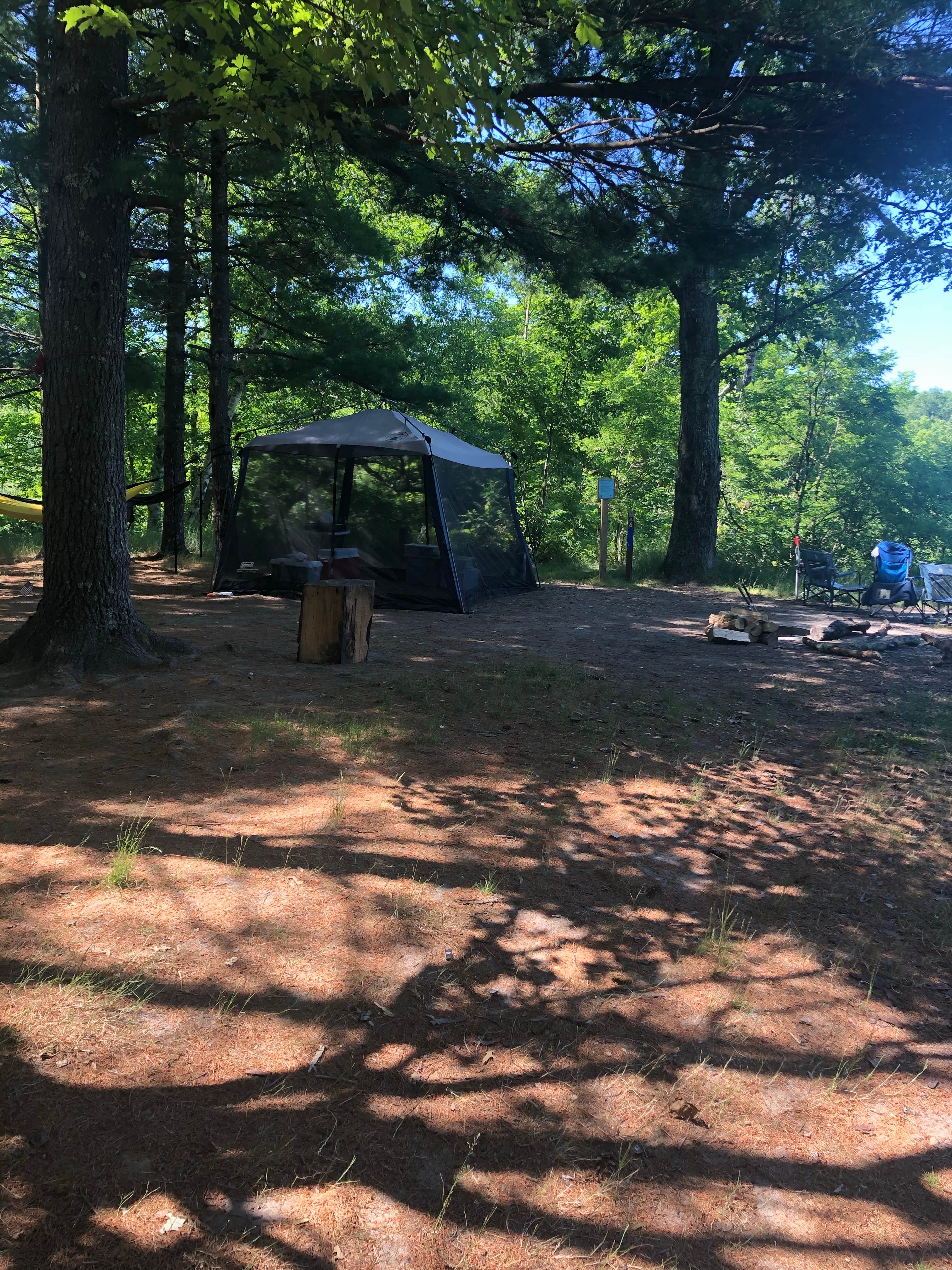 Shelly B.'s photo at Manistee River Trail Dispersed Camping near Mesick, MI