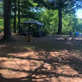 Review photo of Manistee River Trail Dispersed Camping by Shelly B., August 1, 2020