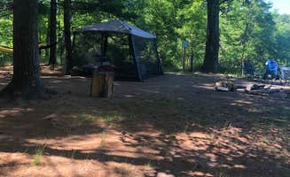 Shelly B.'s photo of tent camping at Manistee River Trail Dispersed Camping near Traverse City, MI