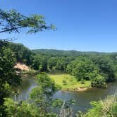 Review photo of Manistee River Trail Dispersed Camping by Shelly B., August 1, 2020