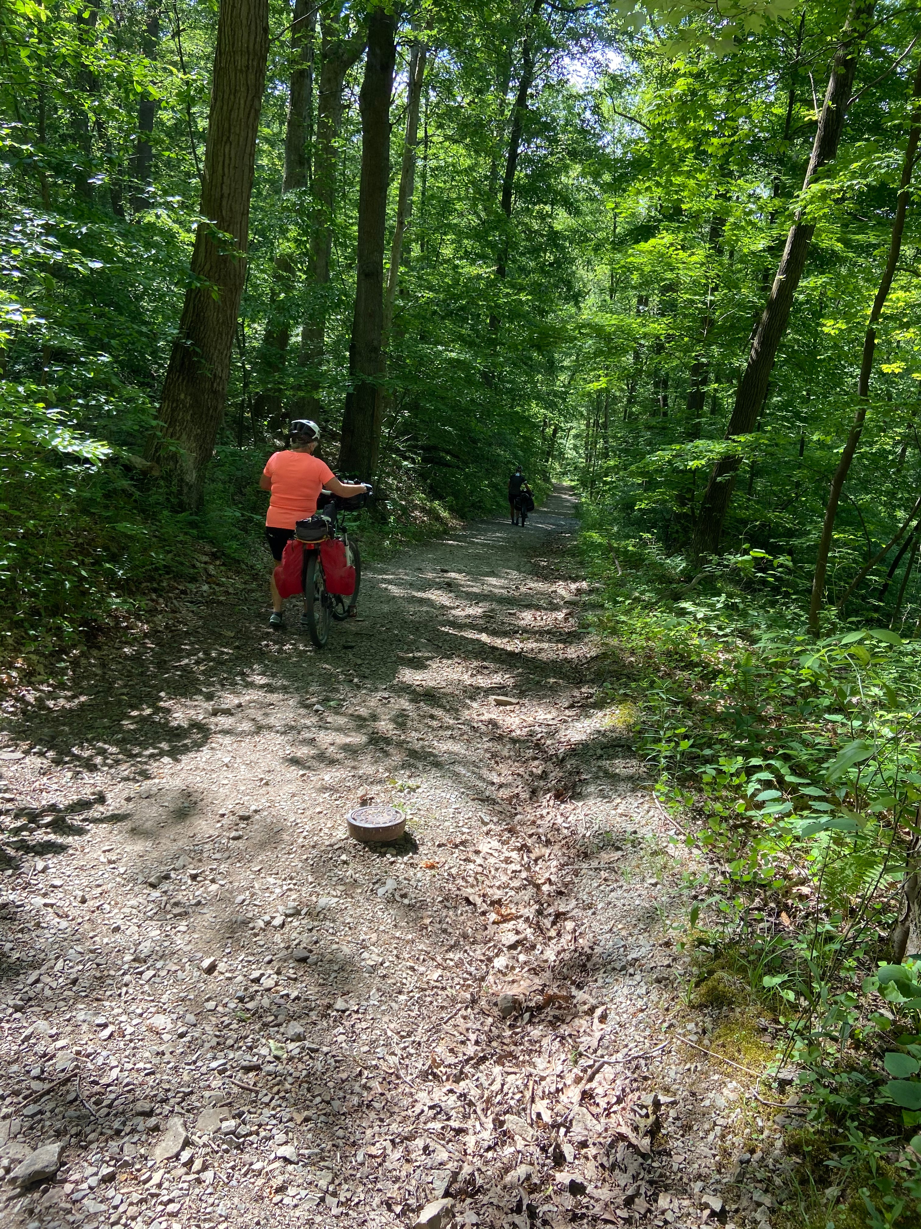 Squeezed brakes for the 1/4 mile down the Beech Trail