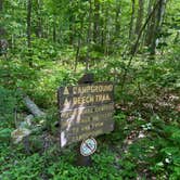 Review photo of Kentuck Campground — Ohiopyle State Park by Dave V., August 1, 2020