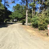 Review photo of Half Moon Bay Campground by Bjorn S., August 1, 2020