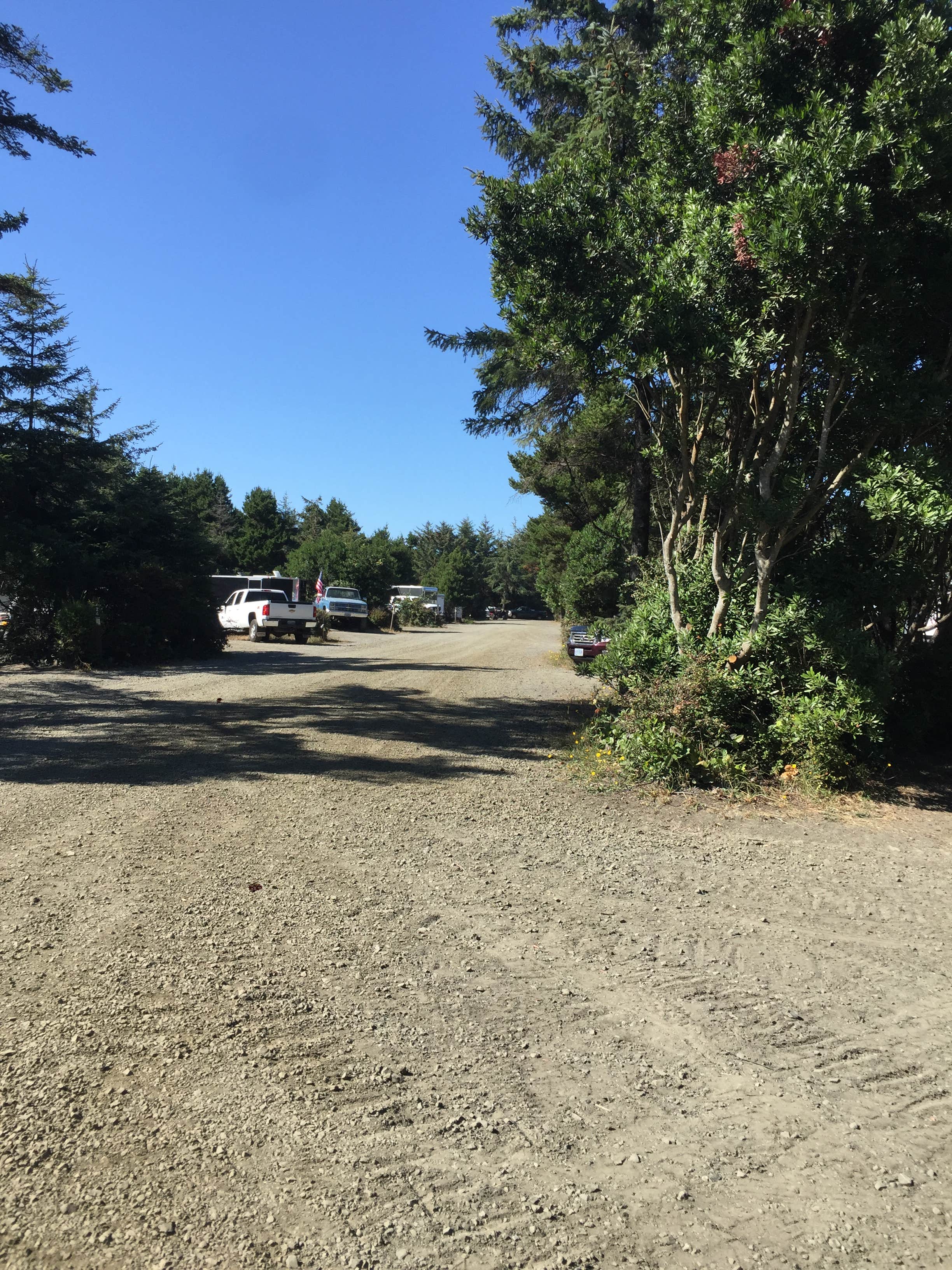 Half Moon Bay Campground The Dyrt