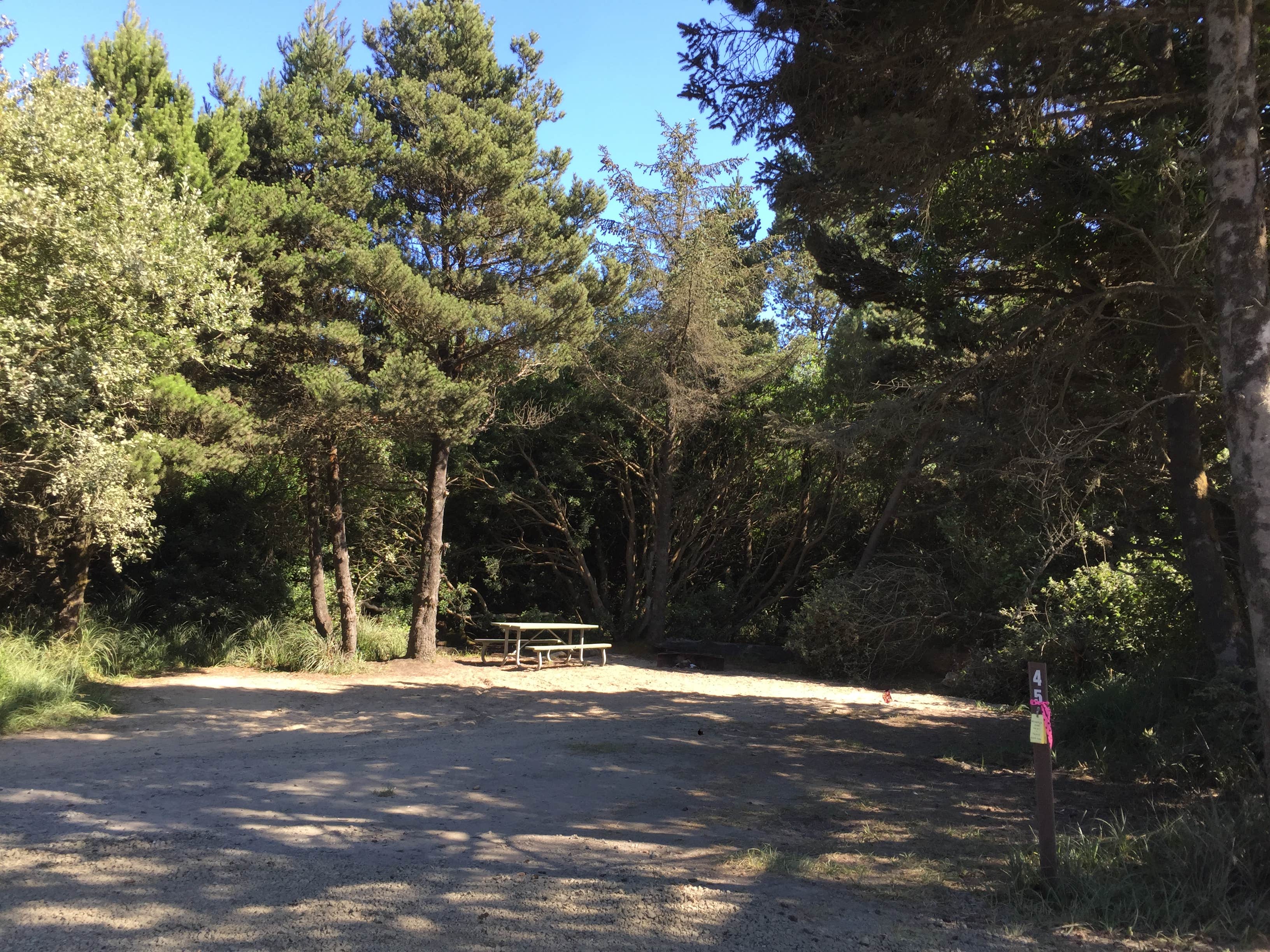 Camper submitted image from Half Moon Bay Campground - 4