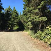 Review photo of Half Moon Bay Campground by Bjorn S., August 1, 2020