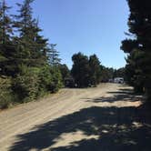 Review photo of Half Moon Bay Campground by Bjorn S., August 1, 2020