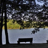 Review photo of Lake Hartwell State Park Campground by Myron C., August 1, 2020