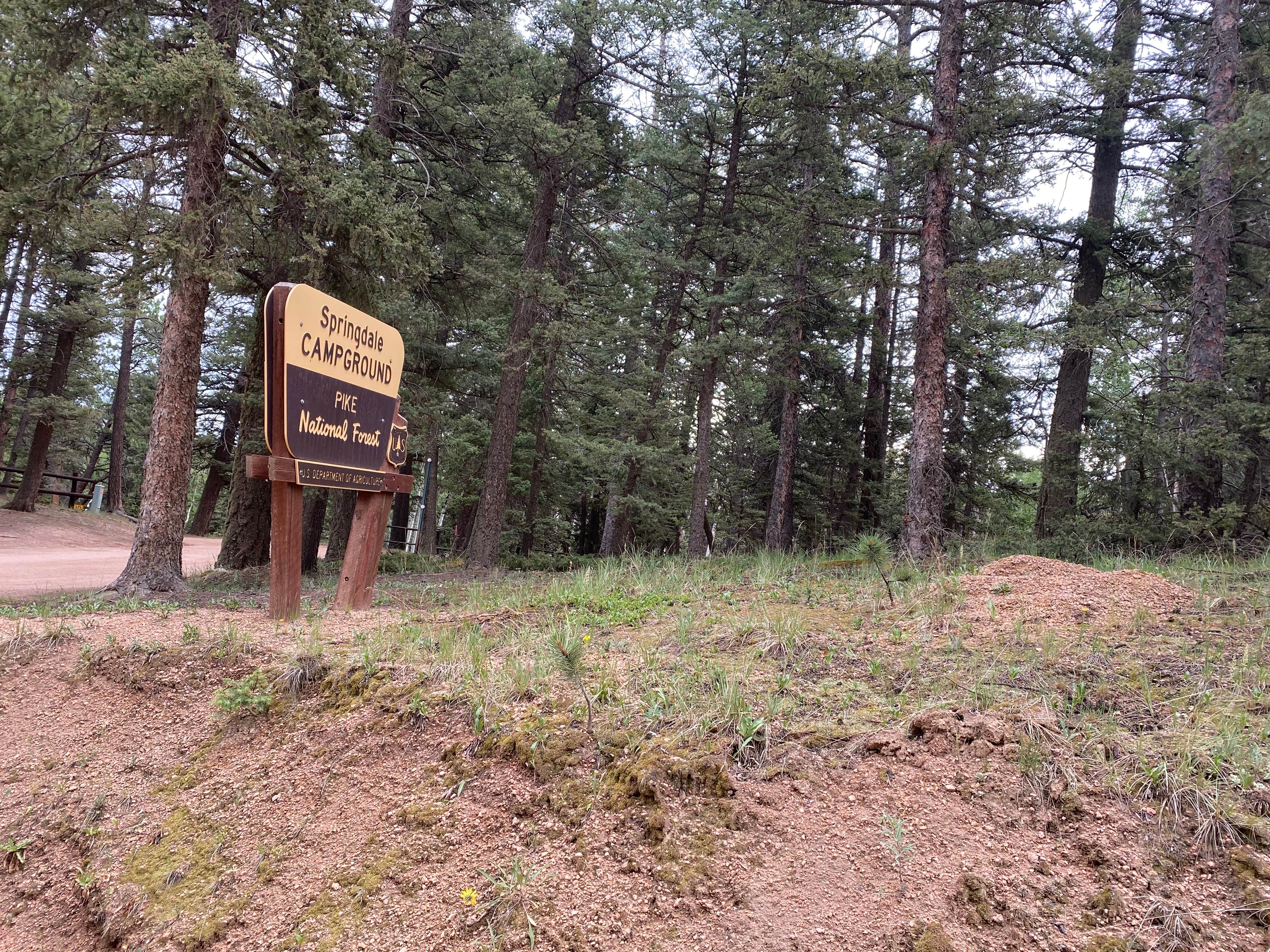 Camper-submitted photo at Springdale Campground near Woodland Park, CO