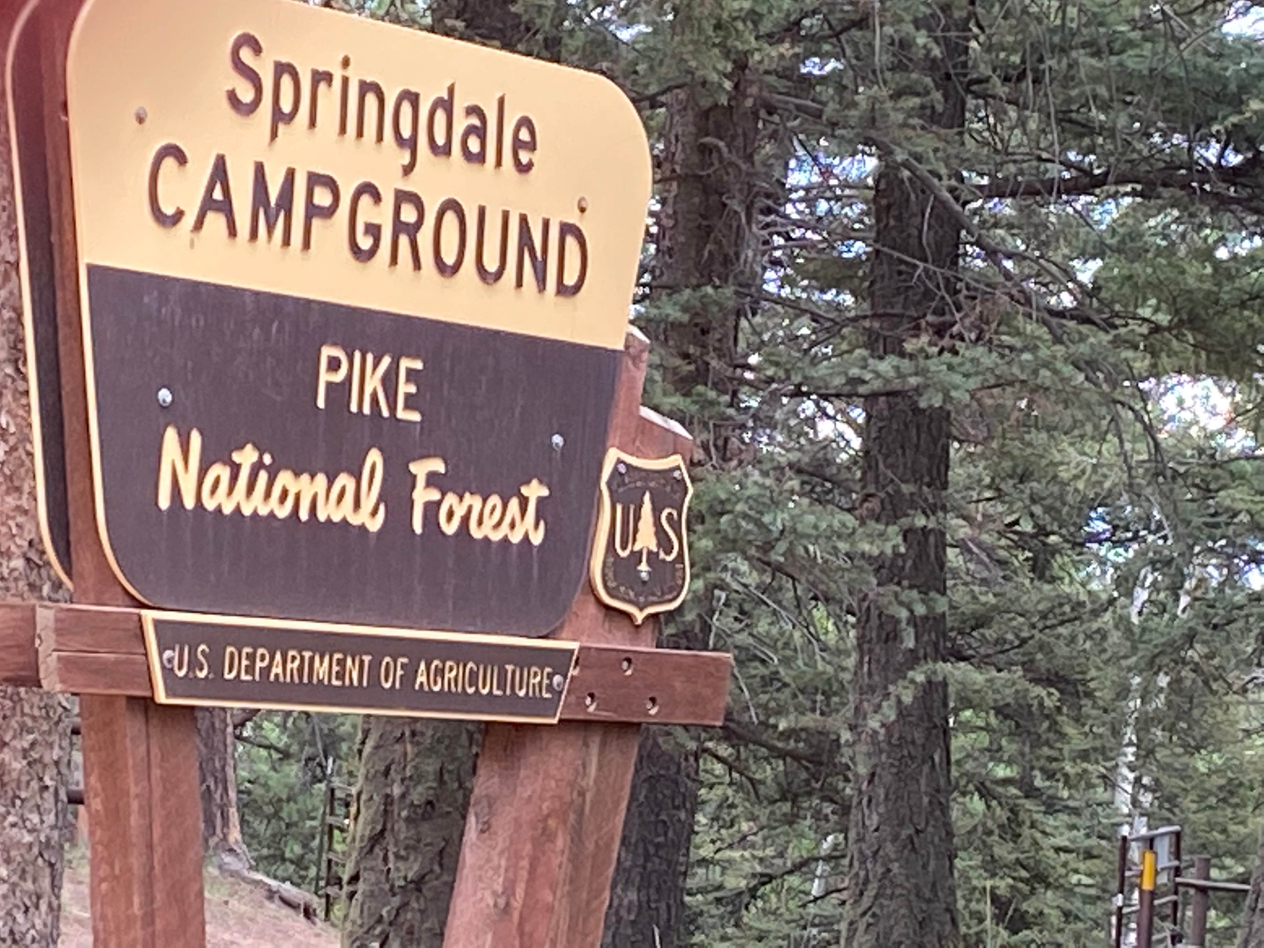 Camper submitted image from Springdale Campground - 4