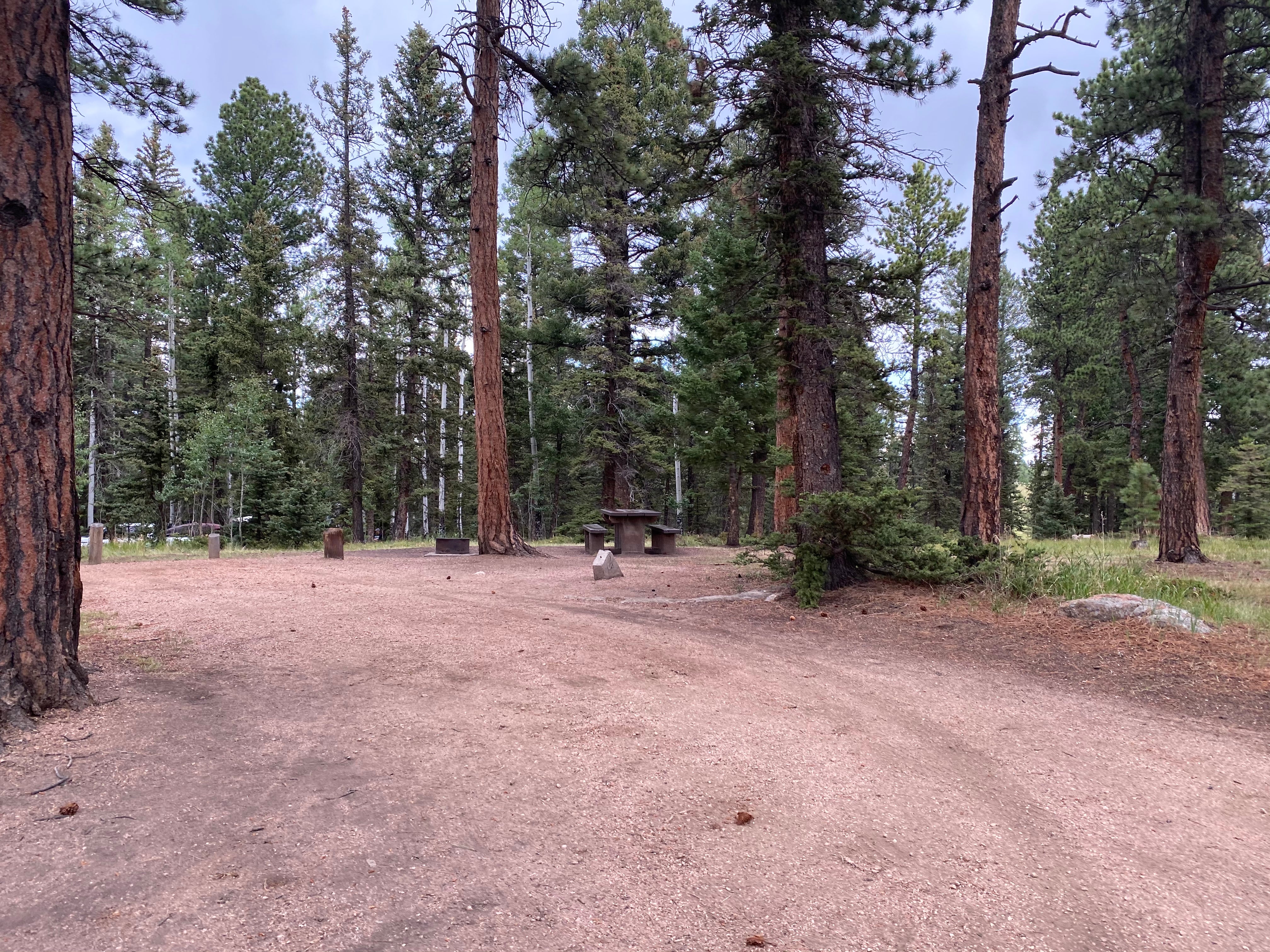 Camper submitted image from Springdale Campground - 4