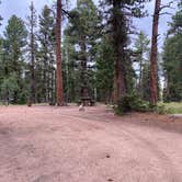 Review photo of Springdale Campground by Fabio O., August 1, 2020