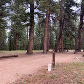 Review photo of Springdale Campground by Fabio O., August 1, 2020