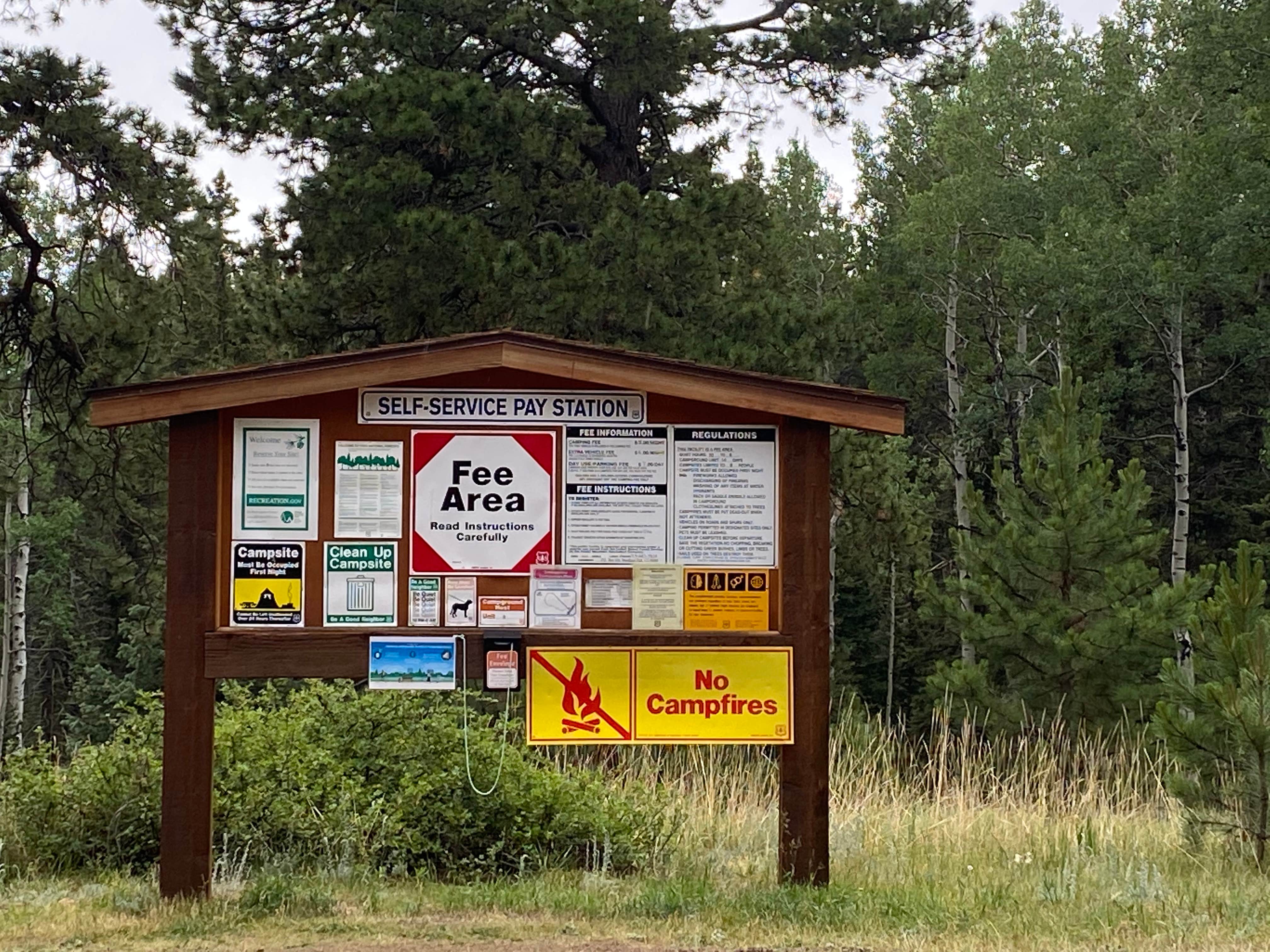 Camper submitted image from Springdale Campground - 5