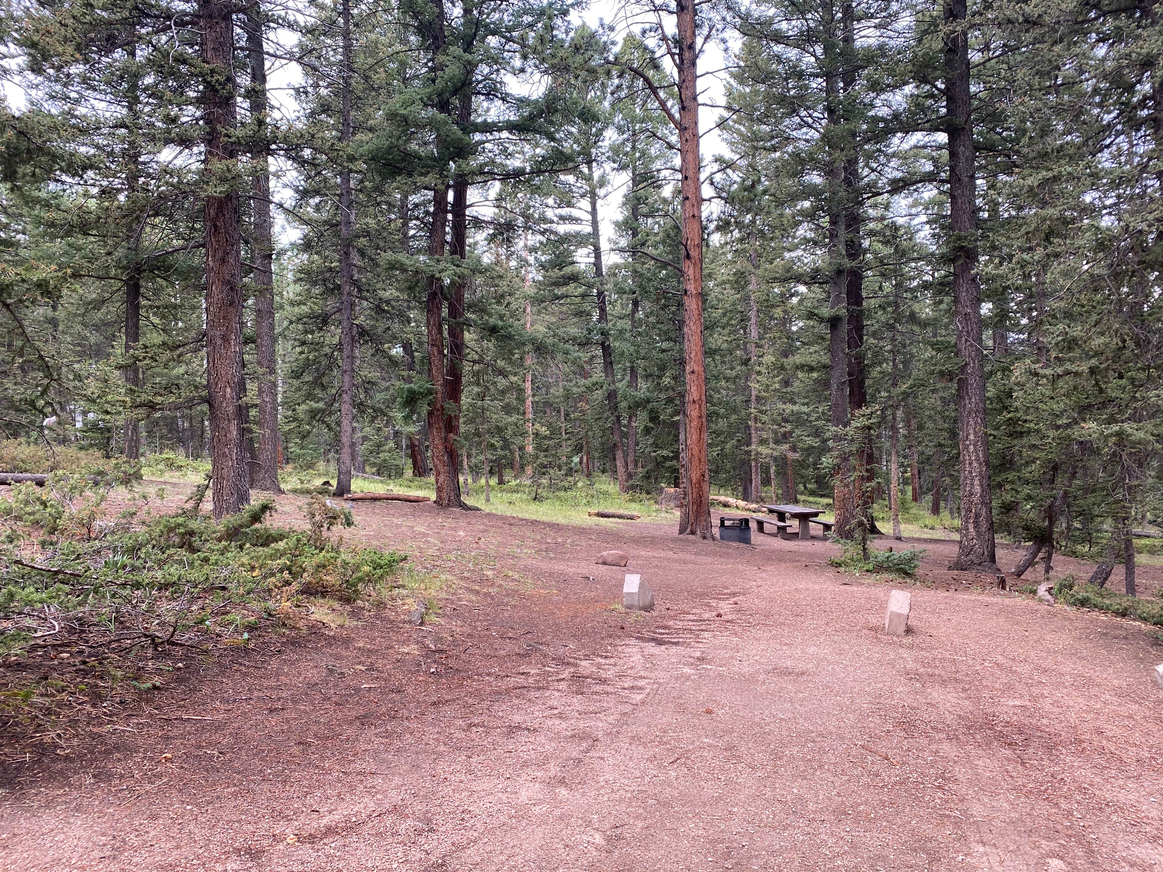 Camper-submitted photo at Springdale Campground near Woodland Park, CO
