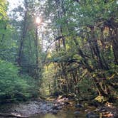 Review photo of Mineral Forest Camp by Sean P., August 1, 2020